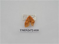 藏品(三色豔苔蛾)的圖片